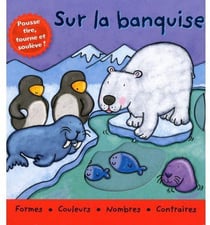 Sur la banquise