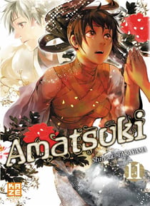 Amatsuki t.11