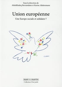 Union Européenne