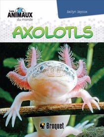 Axolotls