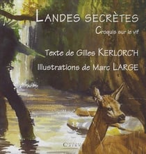 Landes secrètes - croquis sur le vif