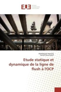 Etude statique et dynamique de la ligne de flush A l'OCP