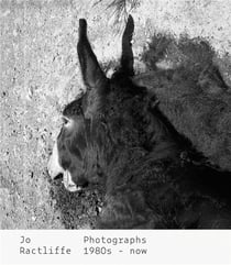 Jo ractliffe photographs 1980s - now