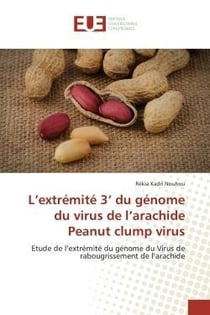 L'extremite 3' du genome du virus de l'arachide peanut clump virus - etude de l'extremite du genome