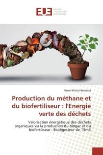 Production du méthane et du biofertiliseur : l'Energie verte des déchets : Valorisation énergétique des déchets organiques via la production du biogaz et du biofertiliseur :