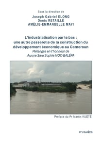 L'industrialisation par le bas : une autre passerelle de la construction du développement économique au Cameroun : Mélanges en l'honneur de Aurore Sara Sophie Ngo Balépa