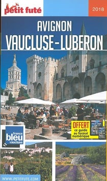 Avignon - vaucluse 2017-2018 petit fute + offre num (édition 2017/2018)