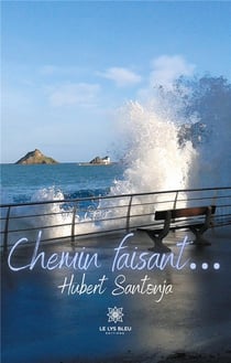 Chemin faisant...