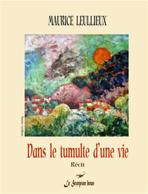 Dans le tumulte d'une vie - recit