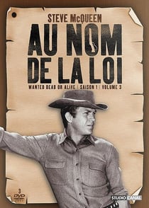 Au nom de la loi - Saison 1 - Volume 3