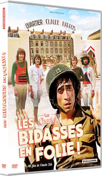 Les Bidasses en folie