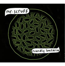 Friendly bacteria