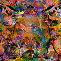 Spot Land - édition colorée