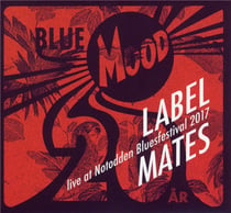 Live at Notodden blues festival 2017