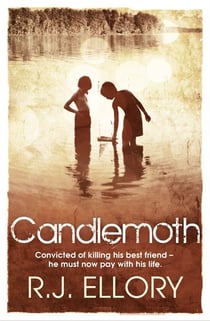 CANDLEMOTH