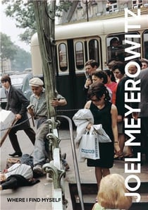 Joel Meyerowitz : where i find myself