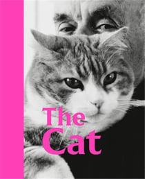 The cat