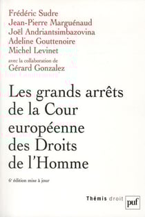 Les grands arrêts de la Cour européenne des Droits de l'homme (6e édition)