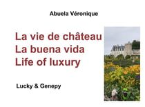 La vie de château - la buuena vida - life of luxury