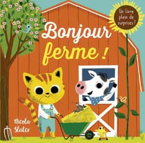 CHANTAL JANISSON - TIAGO AMERICO - Le Livre à toucher de mes 2 ans :  bonjour, la ferme ! - Livres pour bébé - LIVRES -  - Livres  + cadeaux + jeux