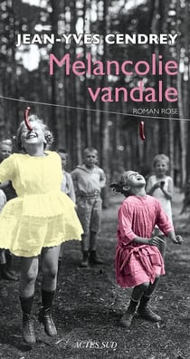 Mélancolie vandale - roman rose