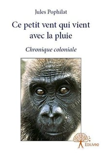 Ce petit vent qui vient avec la pluie - chronique coloniale