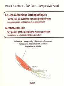 Le lien mécanique ostéopathique - points clés du système nerveux périphérique - concordances en ostéopathie et en acupuncture