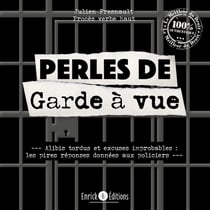 Perles de garde à vue : alibis tordus et excuses improbables - les pires réponses données aux policiers