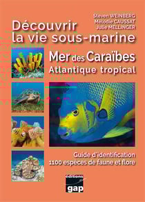 Découvrir la vie sous-marine Mer des Caraïbes Atlantique tropical