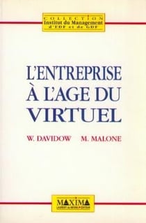 L'entreprise à l'âge du virtuel
