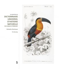 Les planches du dictionnaire universel d'histoire naturelle de charles d'orbigny - dessins d'animaux au xix siècle