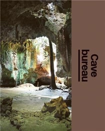 Cave bureau : The architect's studio
