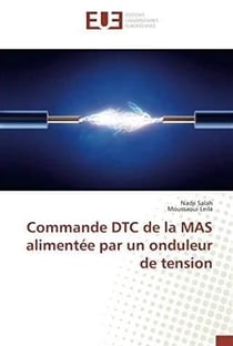 Commande dtc de la mas alimentee par un onduleur de tension