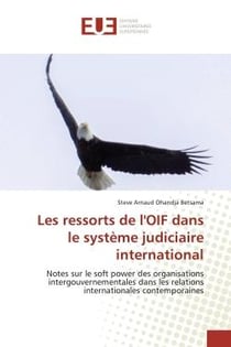 Les ressorts de l'OIF dans le système judiciaire international : Notes sur le soft power des organisations intergouvernementales dans les relations internationales