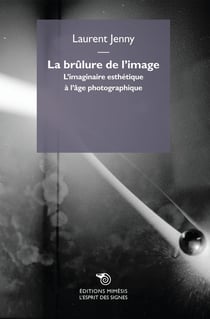 La brûlure de l'image - l'imaginaire esthétique à l'âge photographique