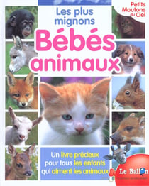 Les plus mignons bebes animaux