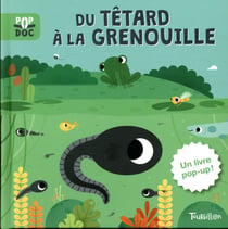 Du tetard a la grenouille - pop up