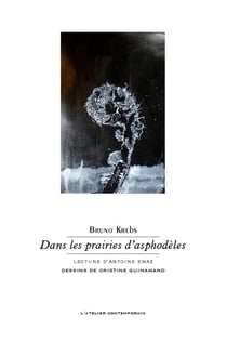 Dans les prairies d'Asphodèle