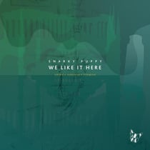 We Like It Here (Remixed + Remastered + Reimagined)