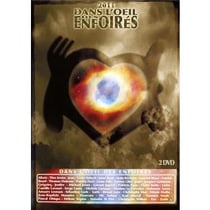 2011 dans l'oeil des enfoirés
