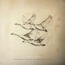 Wild Geese