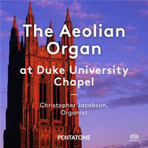 The aeolian organ at Duke University chapel