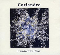 Camin d'estelas