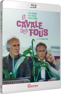 La Cavale des fous