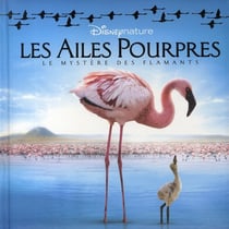 Les ailes pourpres - le mystère des flamants
