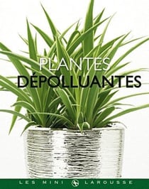 Plantes dépolluantes