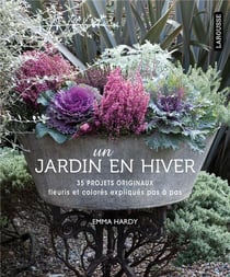 Un jardin en hiver