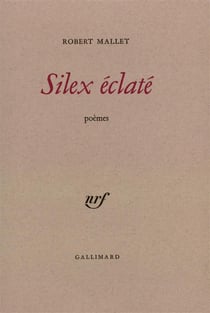 Silex eclate
