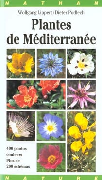Plantes de Méditerranée