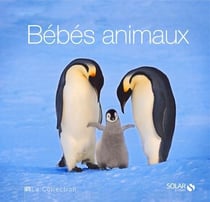 Bebes animaux - la collection